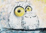 (image for) Winter Owls